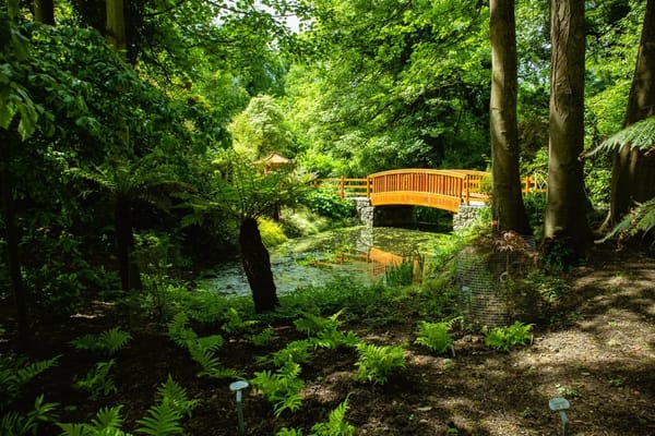 Malahide Gardens - Fairy Trail